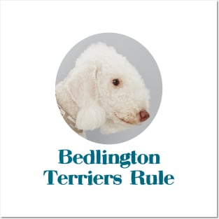 Bedlington Terriers Rule Posters and Art